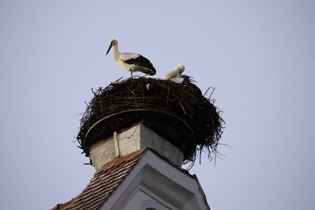 Einwohner Bad Buchaus